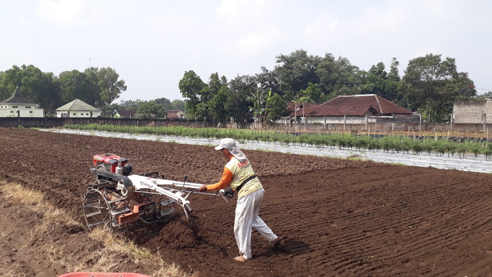 LABORATORIUM TEKNOLOGI BUDIDAYA TANAMAN