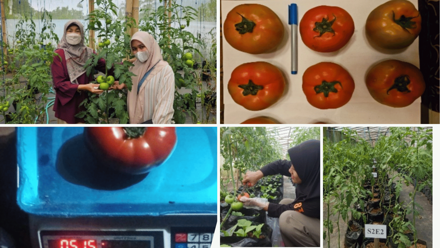 Program Studi Agroteknologi