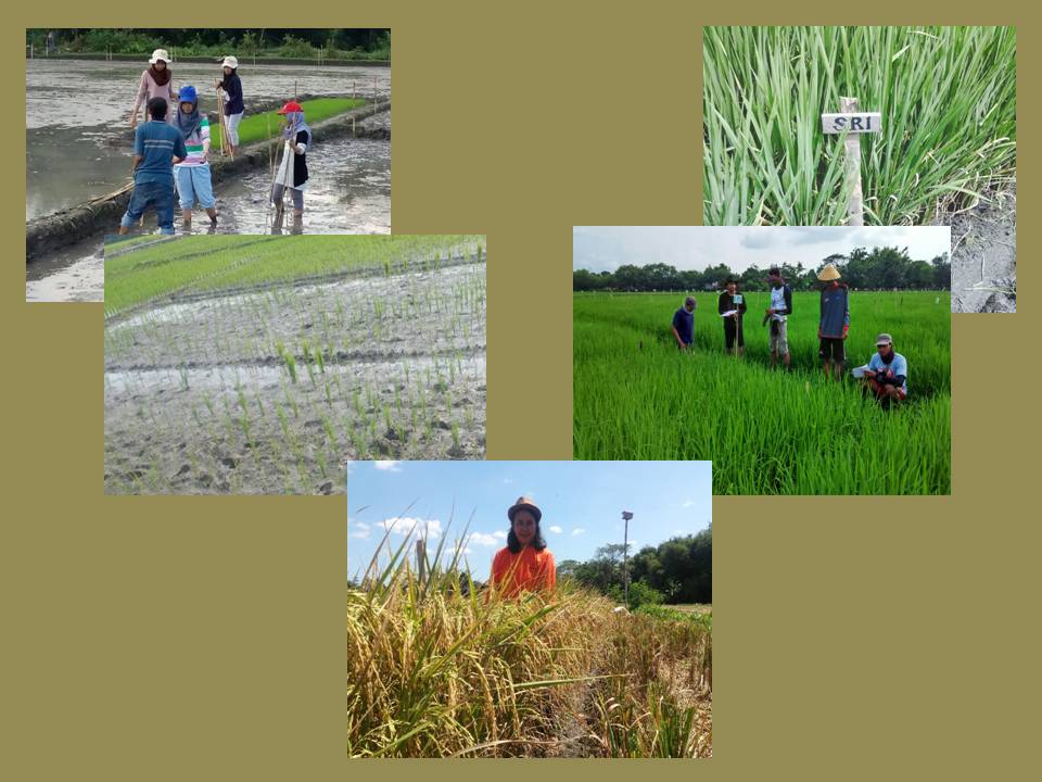 Jurusan Studi Agroteknologi